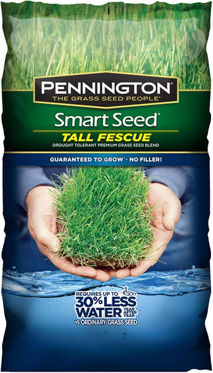 Pennington Kentucky 31 Tall Fescue